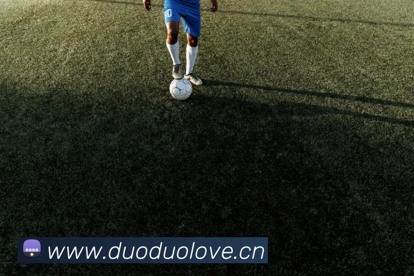 爱游戏ayx平台官网APP 封面图